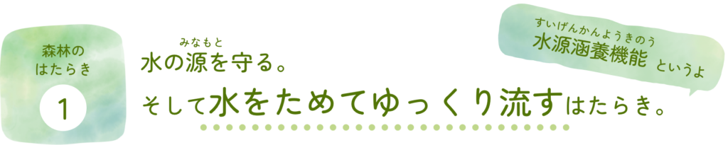 森林のはたらき①水の源を守る。そして水をためてゆっくり流すはたらき。水源涵養機能（すいげんかんようきのう）