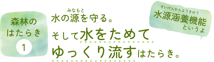 森林のはたらき①水の源を守る。そして水をためてゆっくり流すはたらき。水源涵養機能（すいげんかんようきのう）