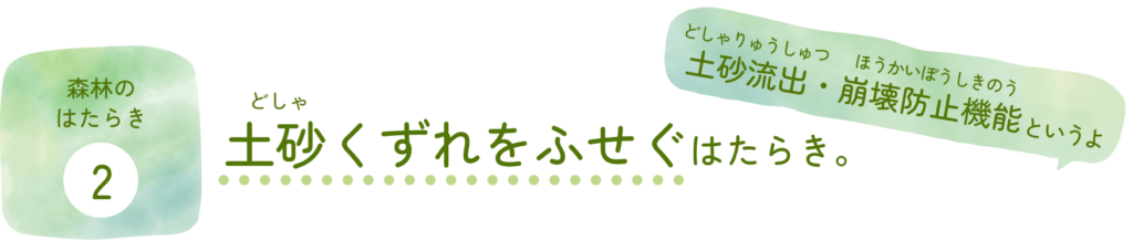 森林のはたらき②土砂崩れをふせぐはたらき。土砂流出・崩壊防止機能（どしゃりゅうしゅつ・ほうかいぼうしきのう）