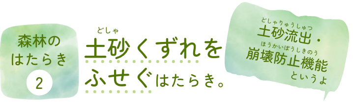 森林のはたらき②土砂崩れをふせぐはたらき。土砂流出・崩壊防止機能（どしゃりゅうしゅつ・ほうかいぼうしきのう）