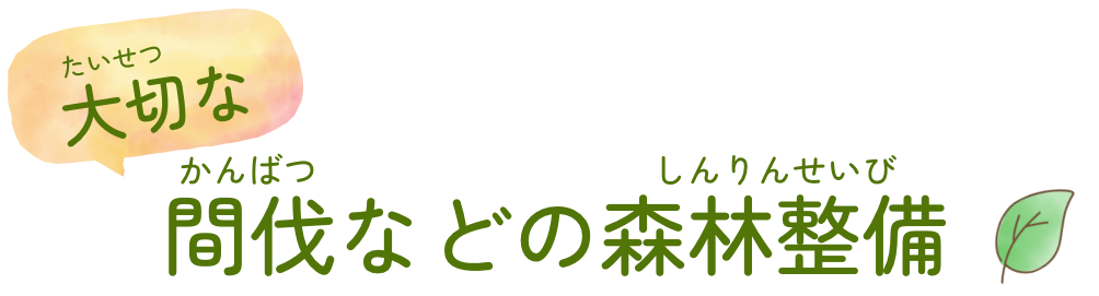 大切な間伐などの森林整備