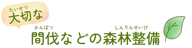 大切な間伐などの森林整備