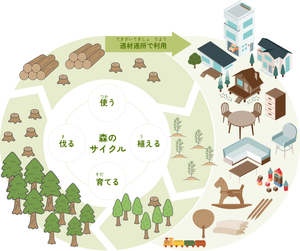 きる→うえる→つかう→そだてる「森のサイクル」